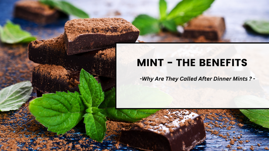 The Marvels of Mint: Benefits and the Tradition of After-Dinner Mints